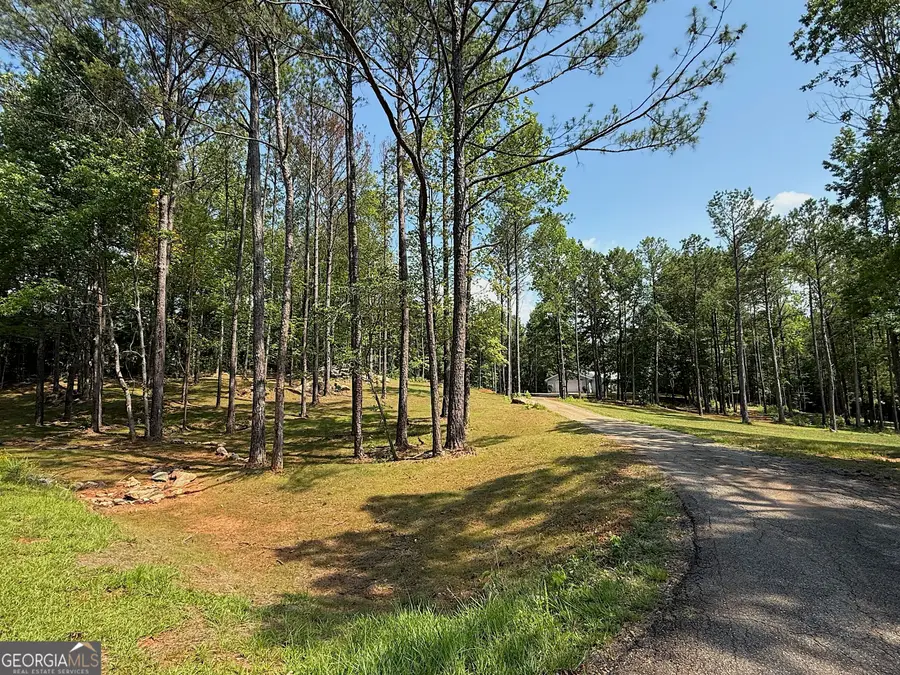 245 Lake Talbot Road, Box Springs, GA 31801 - #2