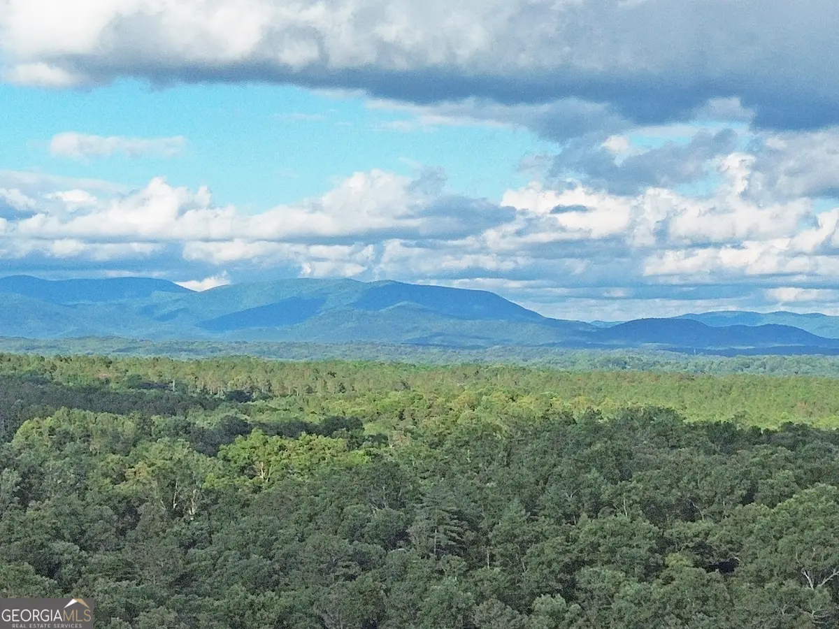 LOT 20 Mt Springer Road, Ellijay, GA 30540 - #1