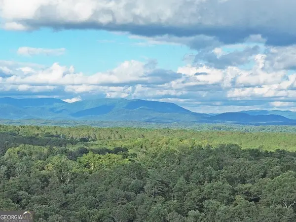 LOT 20 Mt Springer Road, Ellijay, GA 30540