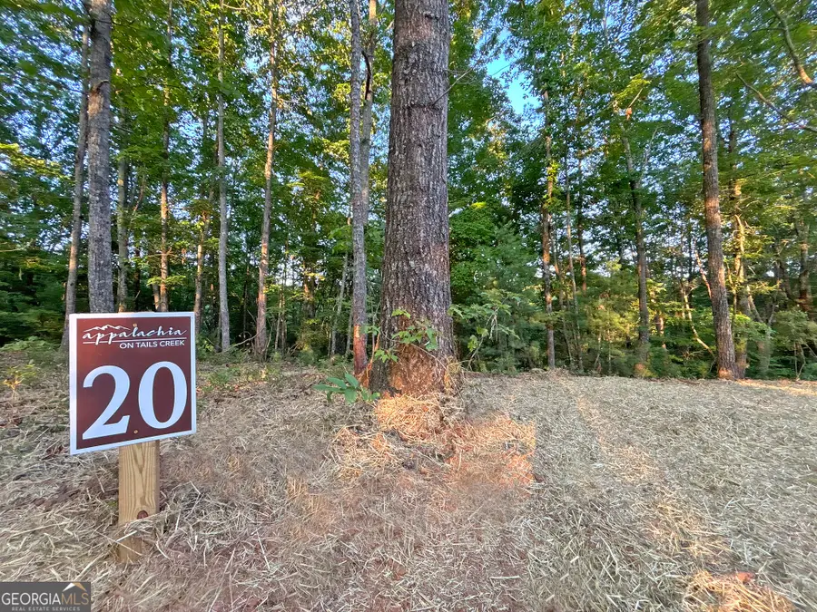 LOT 20 Mt Springer Road, Ellijay, GA 30540 - #2