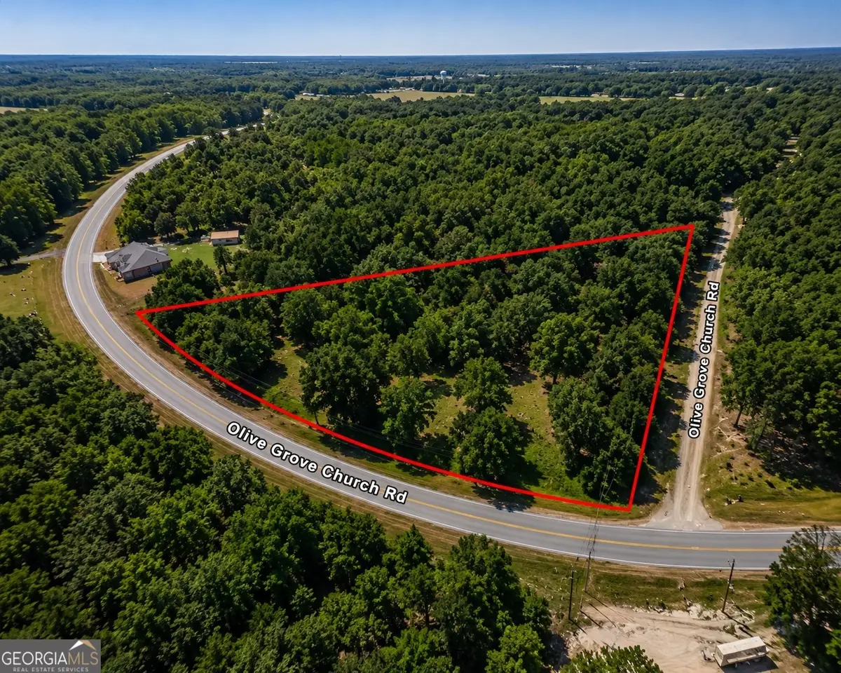 1.77 ACRES Olive Grove Church Road, Roberta, GA 31078 - #1