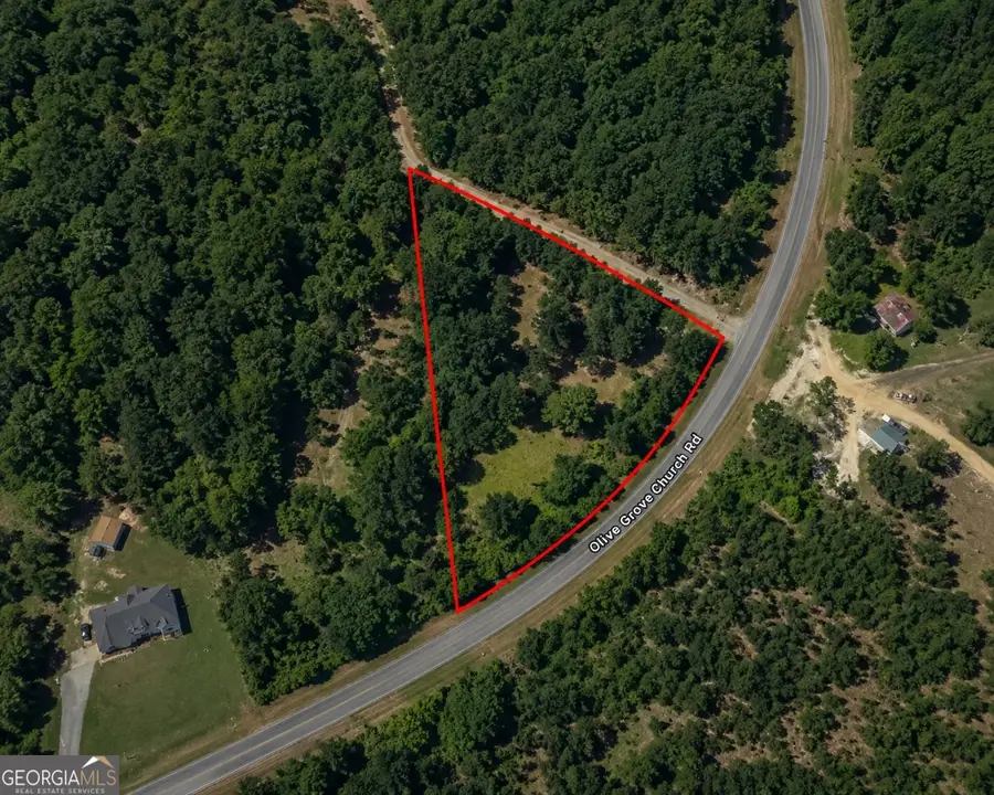 1.77 ACRES Olive Grove Church Road, Roberta, GA 31078 - #2