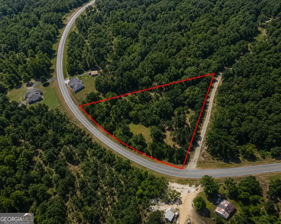 1.77 ACRES Olive Grove Church Road, Roberta, GA 31078 - #3