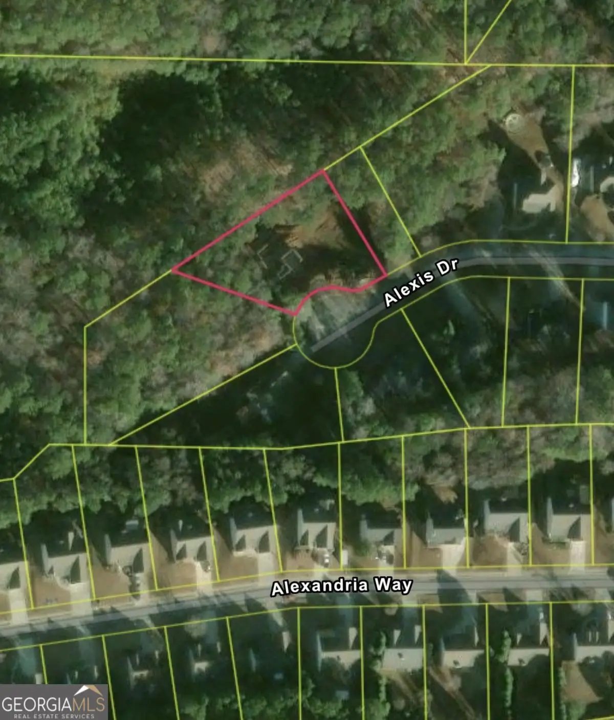 222 Alexis Drive, Dallas, GA 30132 - #1