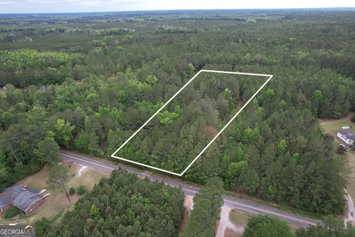 1.5 ACRES Mt Pleasant Road, Clyo, GA 31303 - #1