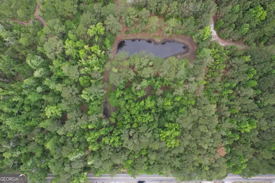 1.5 ACRES Mt Pleasant Road, Clyo, GA 31303 - #2