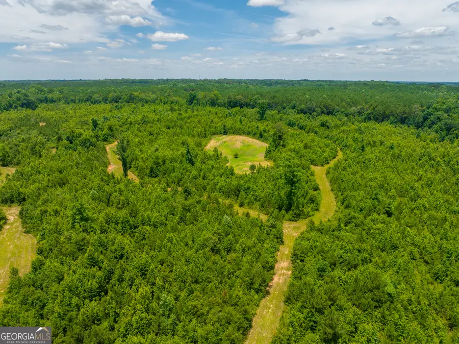 47.7 ACRES Cochran Road, Madison, GA 30650 - #3