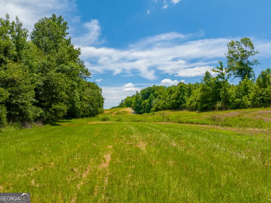 29.3 ACRES Cochran Road, Madison, GA 30650 - #2