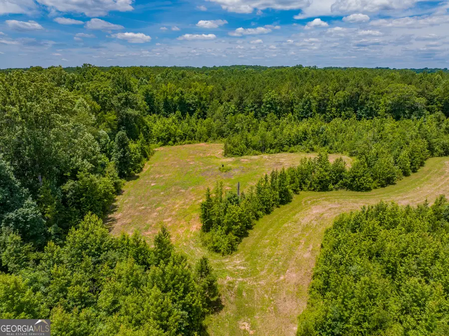 21.4 ACRES Cochran Road, Madison, GA 30650 - #3