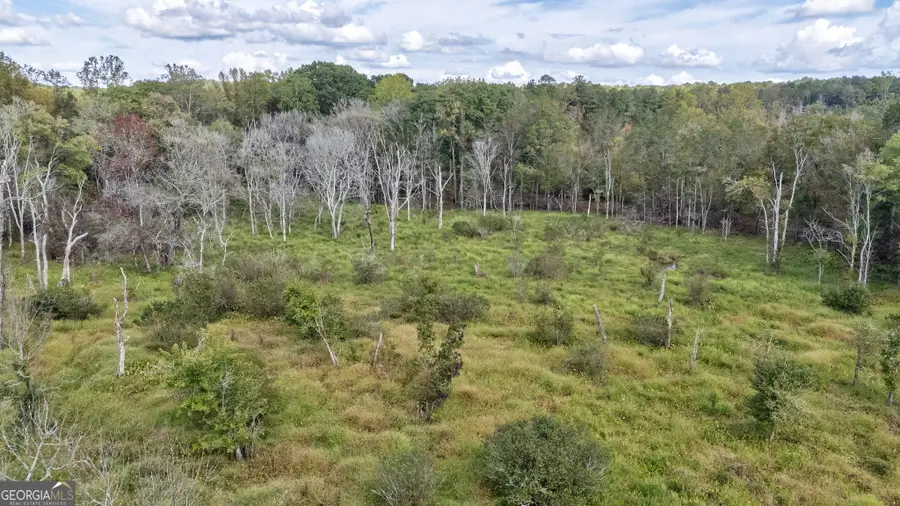 0 Old Salem Road #TRACT 4, Watkinsville, GA 30677 - #3