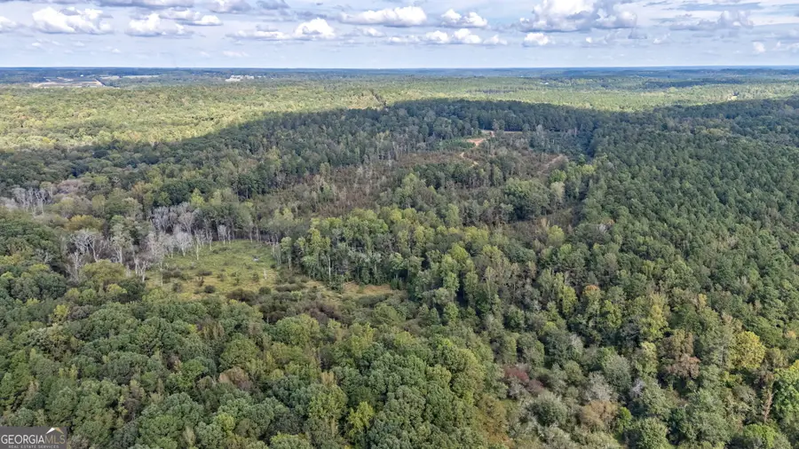 00 Old Salem Road #TRACT 3, Watkinsville, GA 30677 - #3