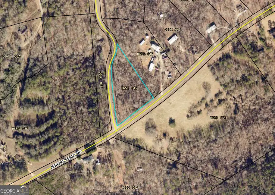 1035 Jenkins Ferry Road, Martin, GA 30557 - #1