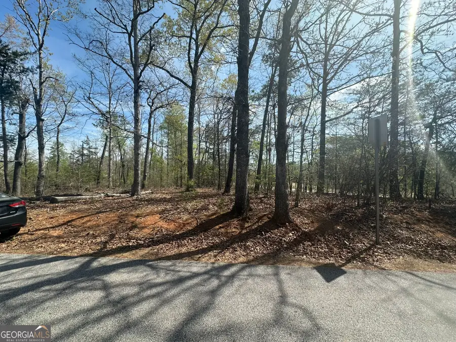 1035 Jenkins Ferry Road, Martin, GA 30557 - #2