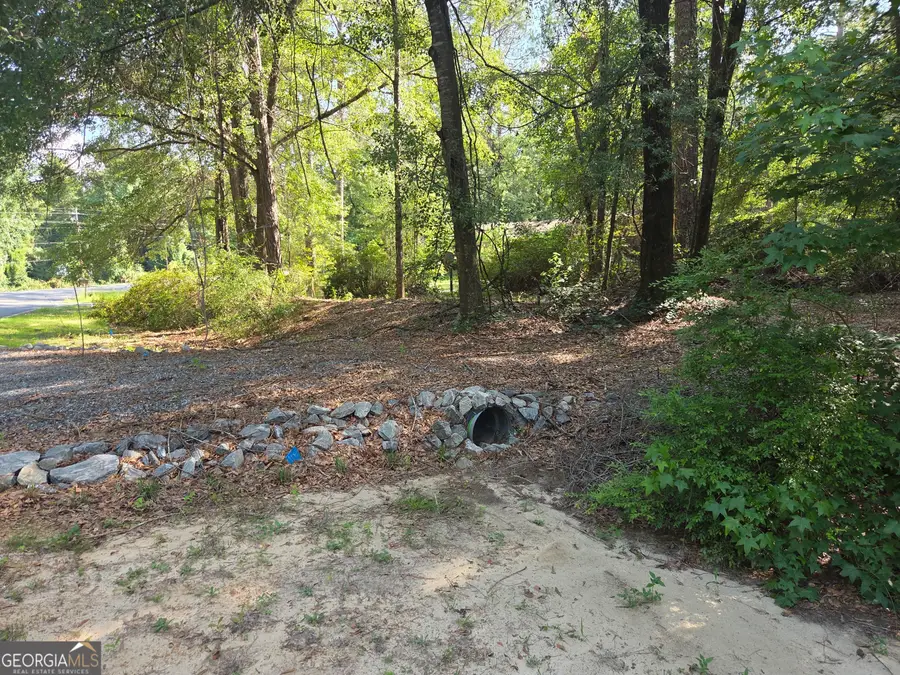 251 Riverview Drive, Dublin, GA 31021 - #3