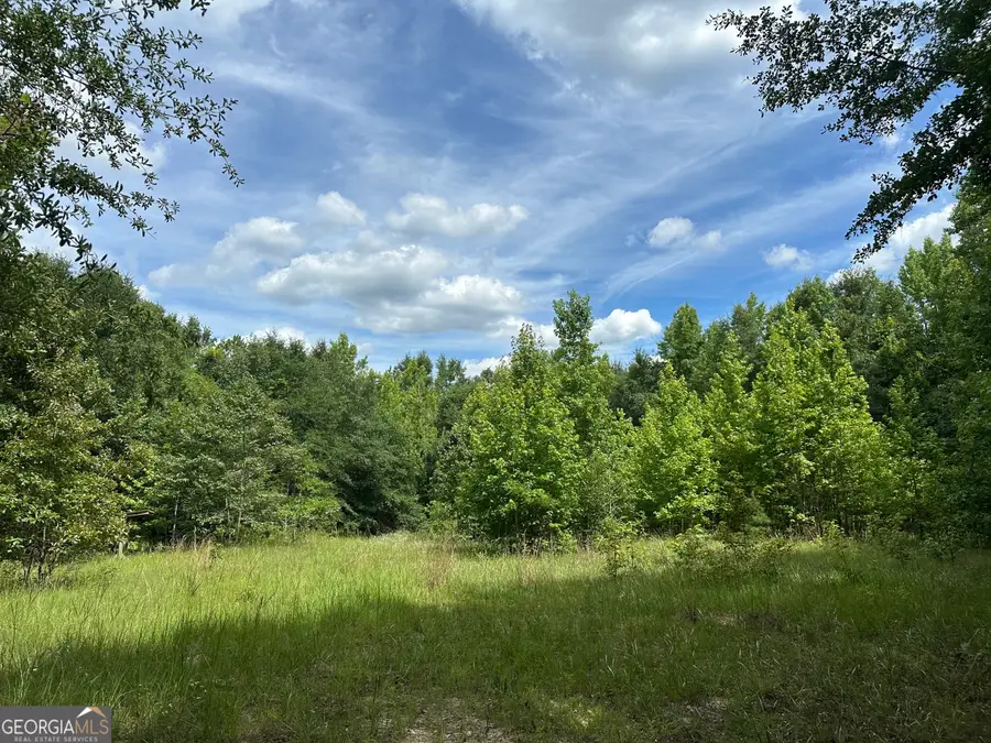 699 Ga Highway 96, Irwinton, GA 31042 - #3