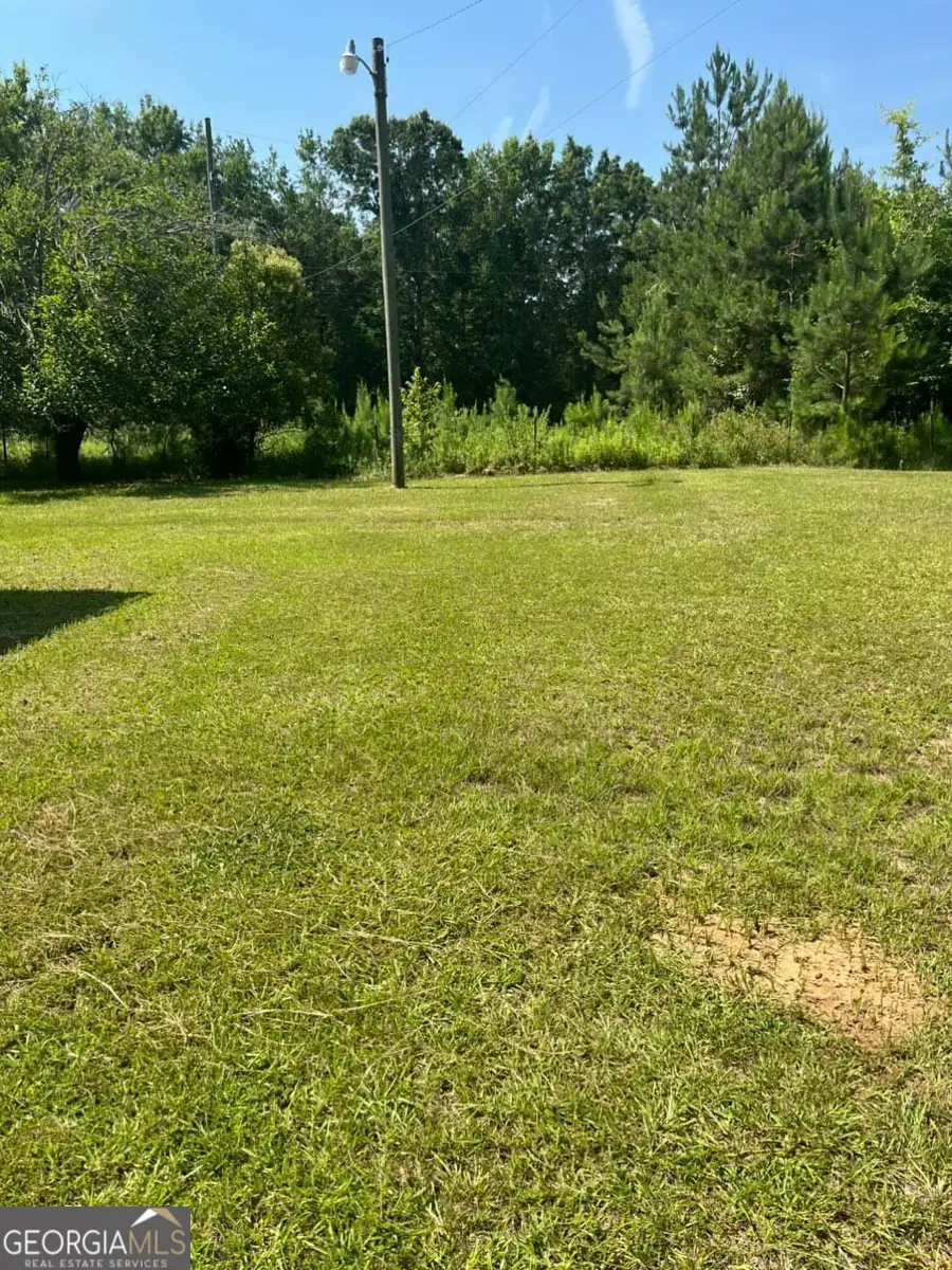 363 Church, Bronwood, GA 39826 - #2