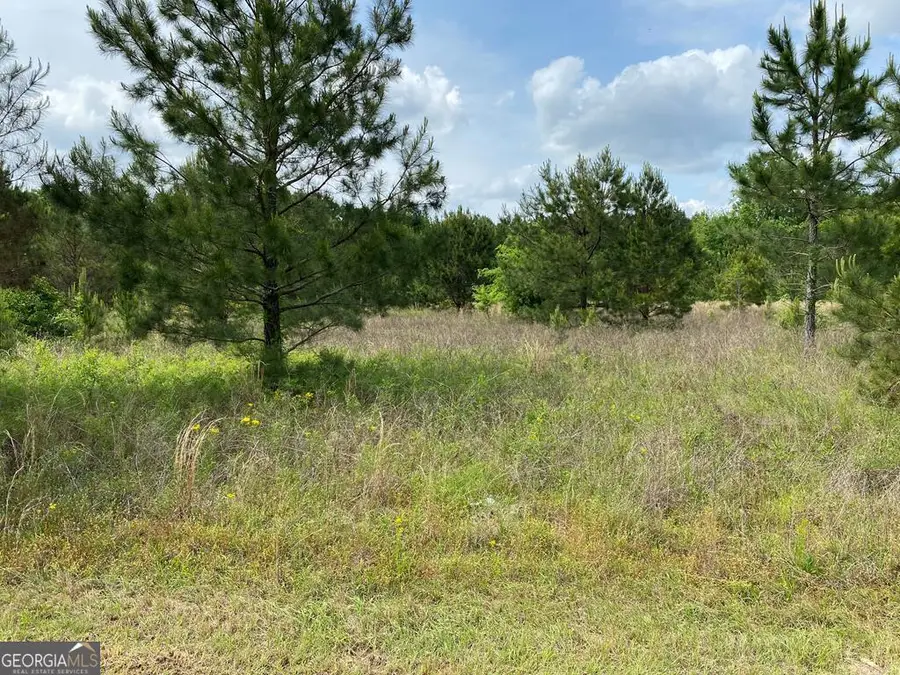 1001-B Holiday Road, Dublin, GA 31021 - #2