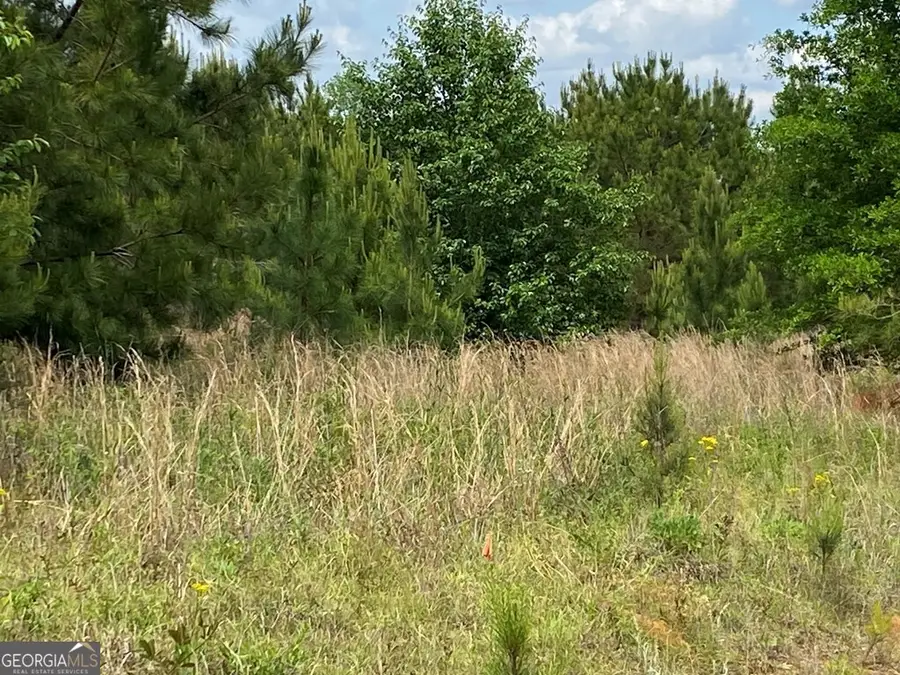 1001-B Holiday Road, Dublin, GA 31021 - #3