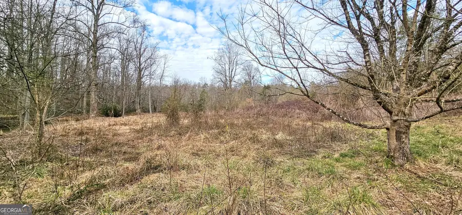 0 Gladston Drive, Mount Airy, GA 30563 - #3