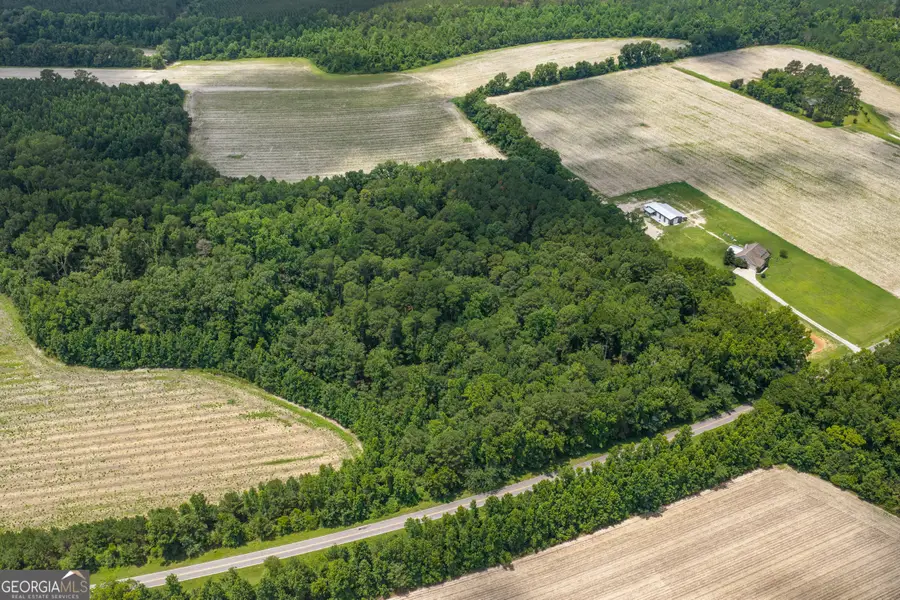 0 Old River Road, Garfield, GA 30425 - #2