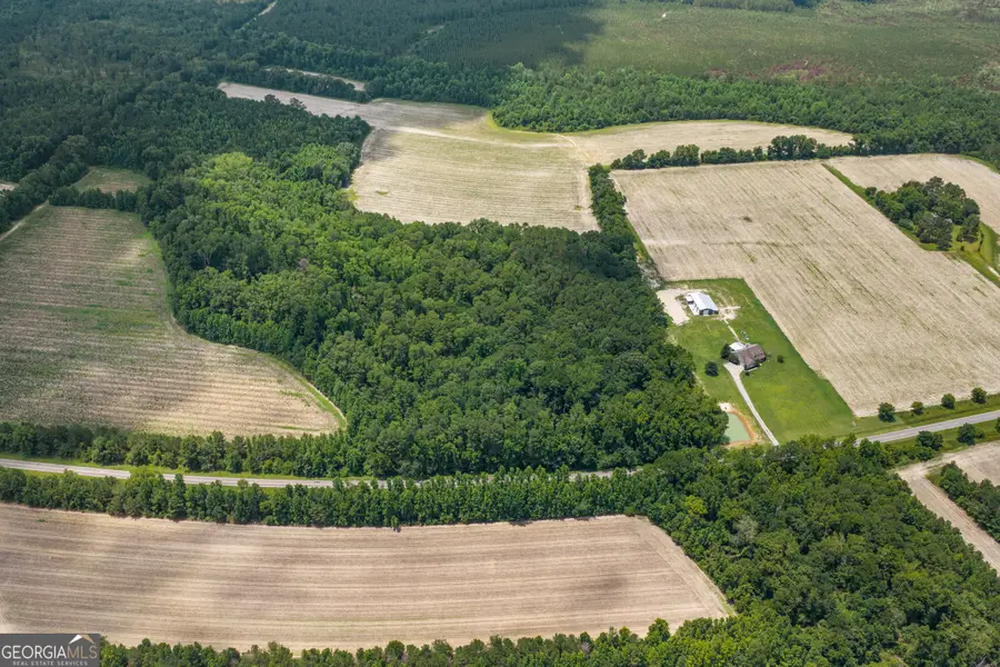 0 Old River Road, Garfield, GA 30425 - #3