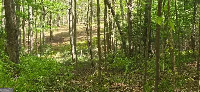 LOT 3-4 Scouts Overlook Lane, Morganton, GA 30560 - #2