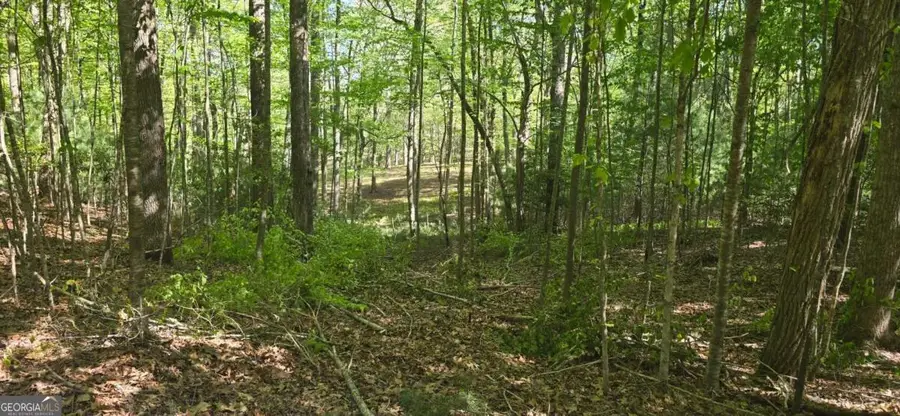LOT 3-4 Scouts Overlook Lane, Morganton, GA 30560 - #3