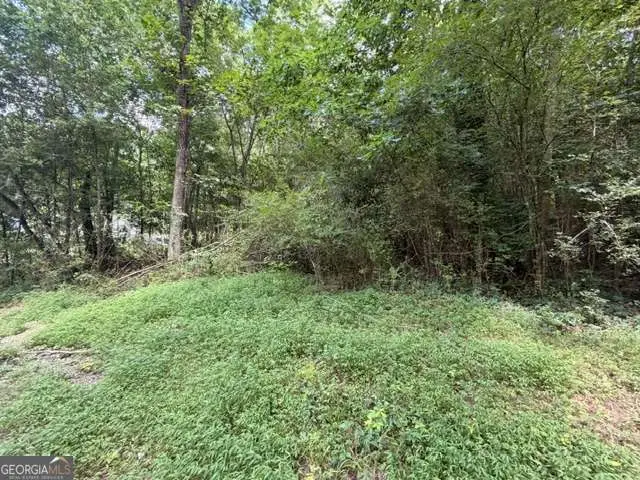280 Nixon Road, Summerville, GA 30747 - #2