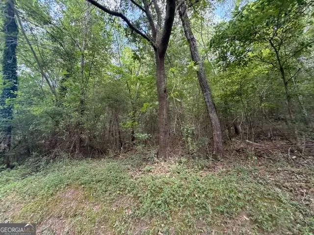 280 Nixon Road, Summerville, GA 30747 - #3