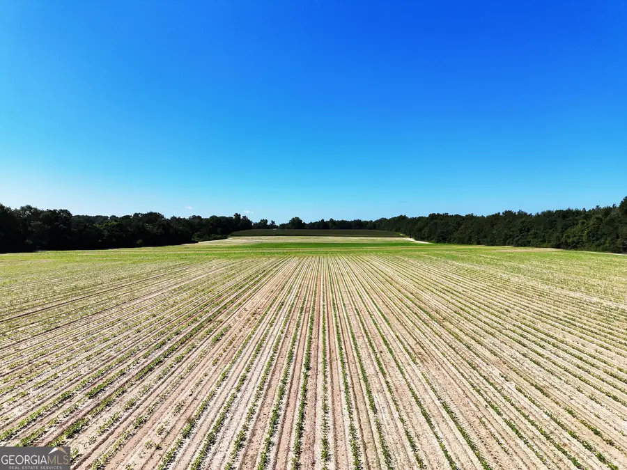 0 Tired Creek Rd, Whigham, GA 39897 - #3