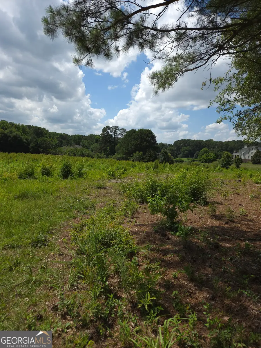 0 Trickum Creek Road, Tyrone, GA 30290 - #2