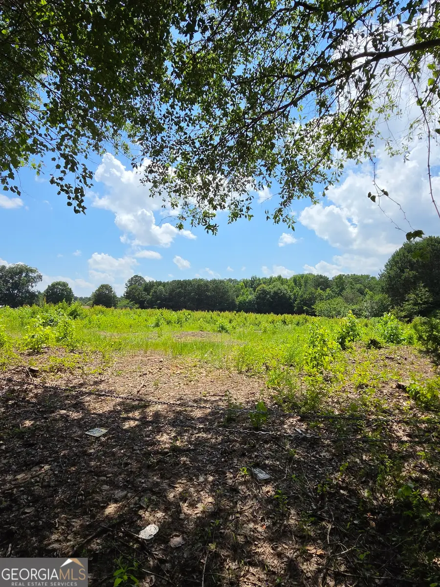 0 Trickum Creek Road, Tyrone, GA 30290 - #3
