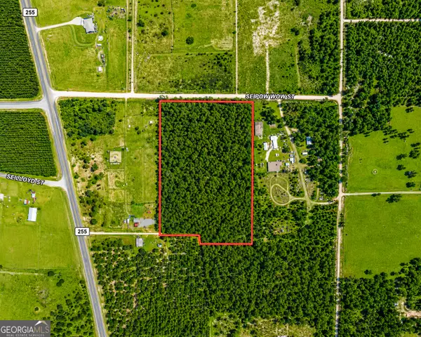 10.73 ACRES Se Pow Wow Street, Lee, FL 32059