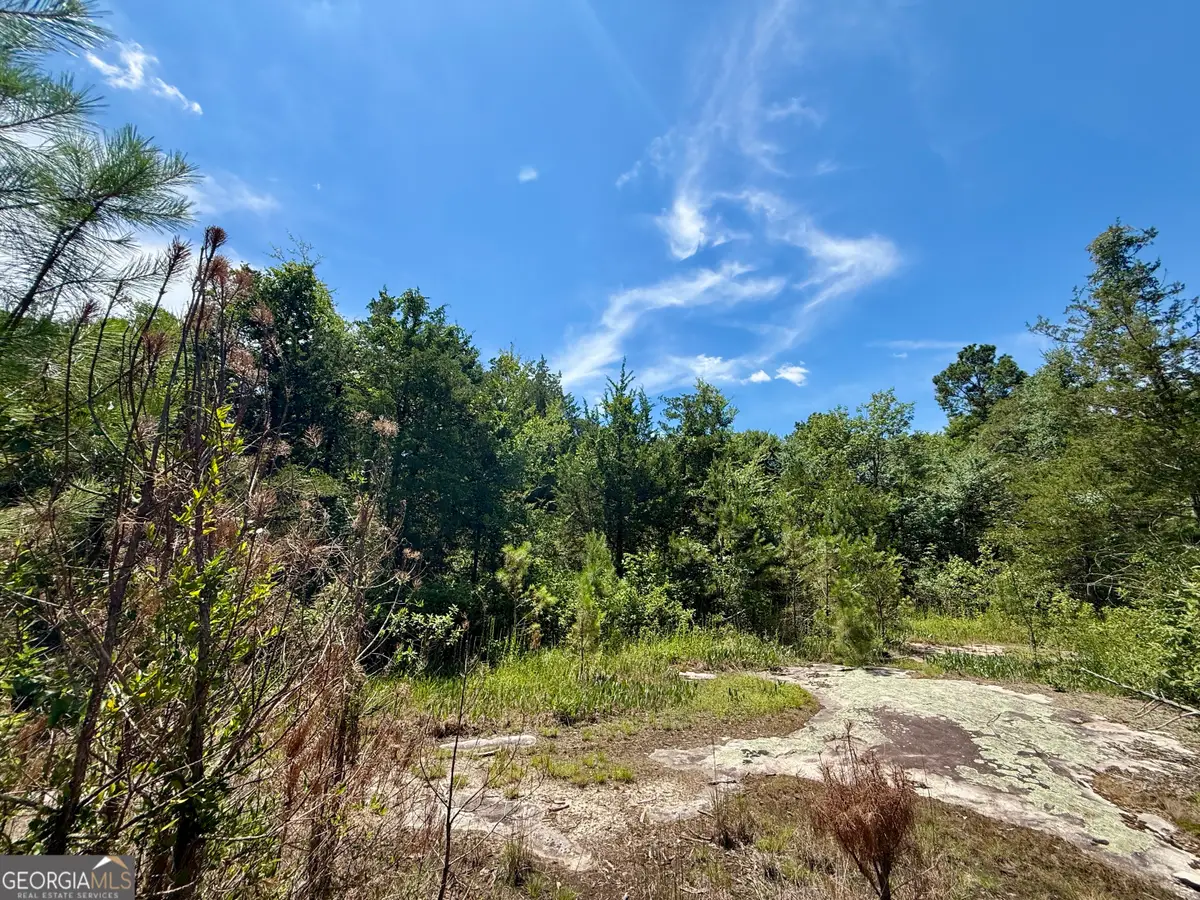14.21 ACRES NW Irwin Bridge Road, Conyers, GA 30012 - #1