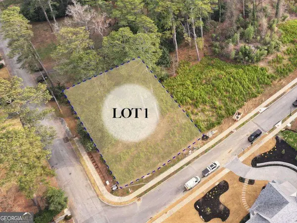 462 Emily Reed Lane, Atlanta, GA 30342