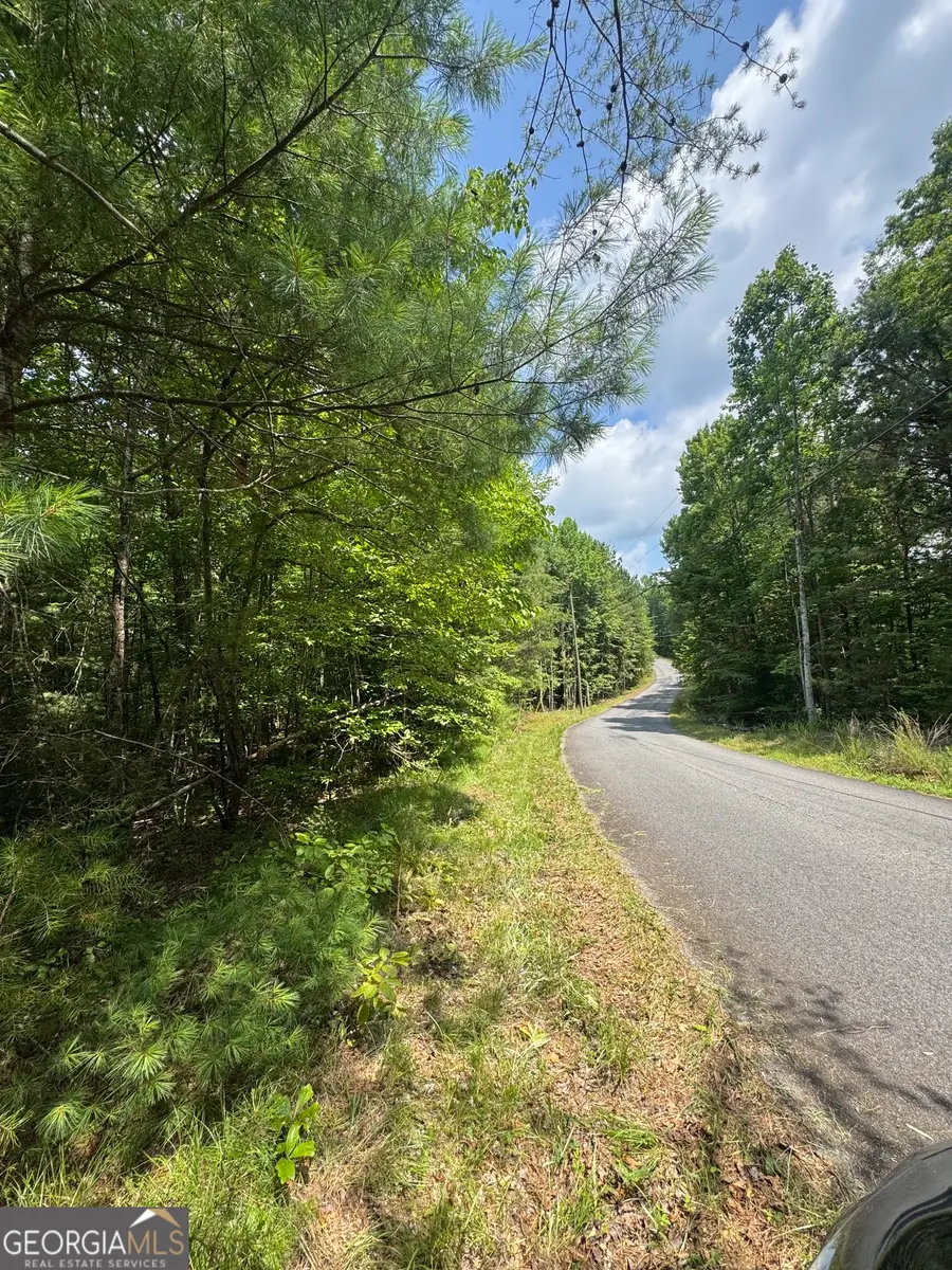 TR 3,4 Lakeland Drive, Ellijay, GA 30540 - #2