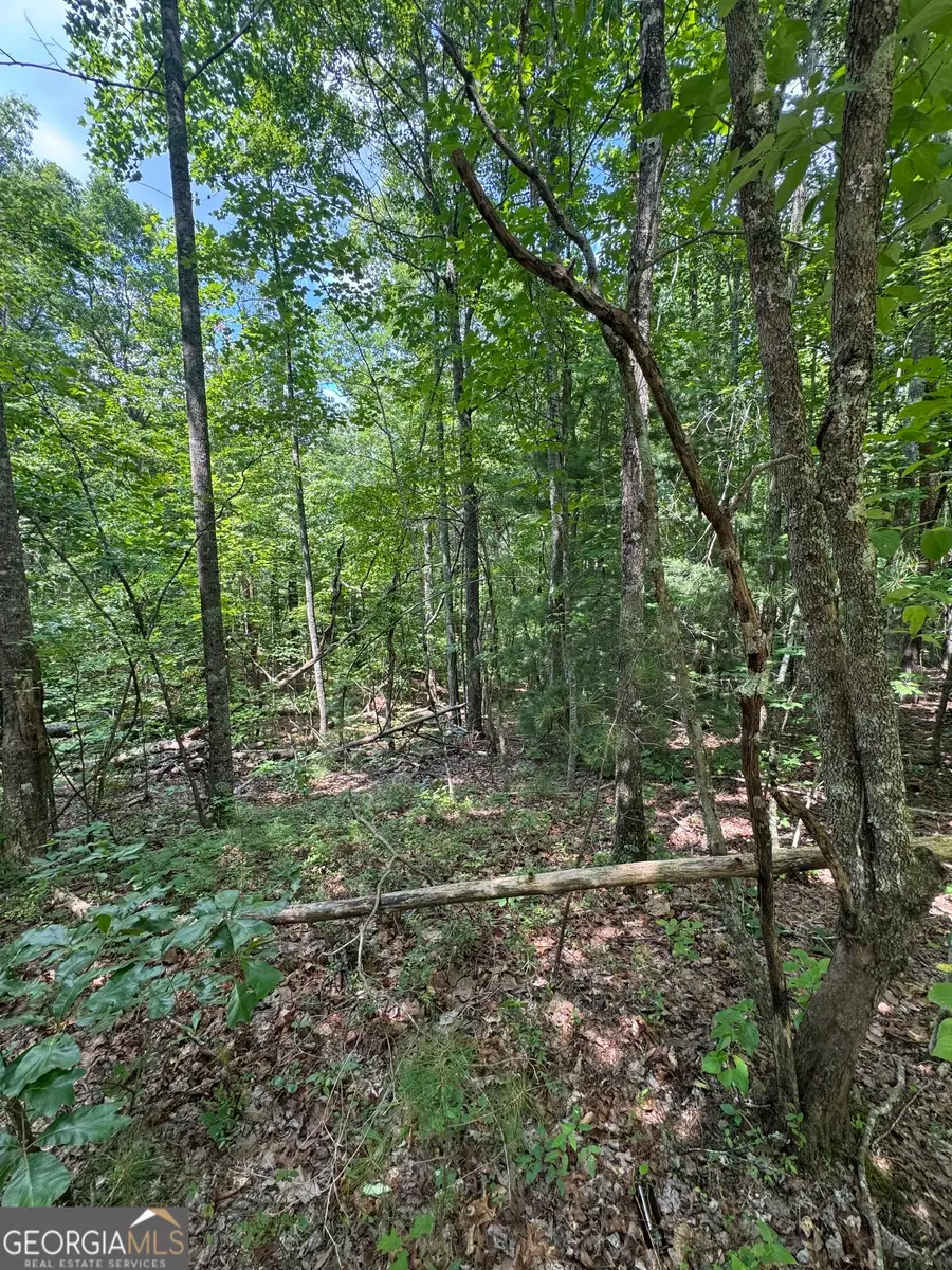 TR 3,4 Lakeland Drive, Ellijay, GA 30540 - #3