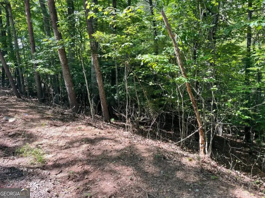 0 Rizzitello Lane #5, Blairsville, GA 30512 - #3