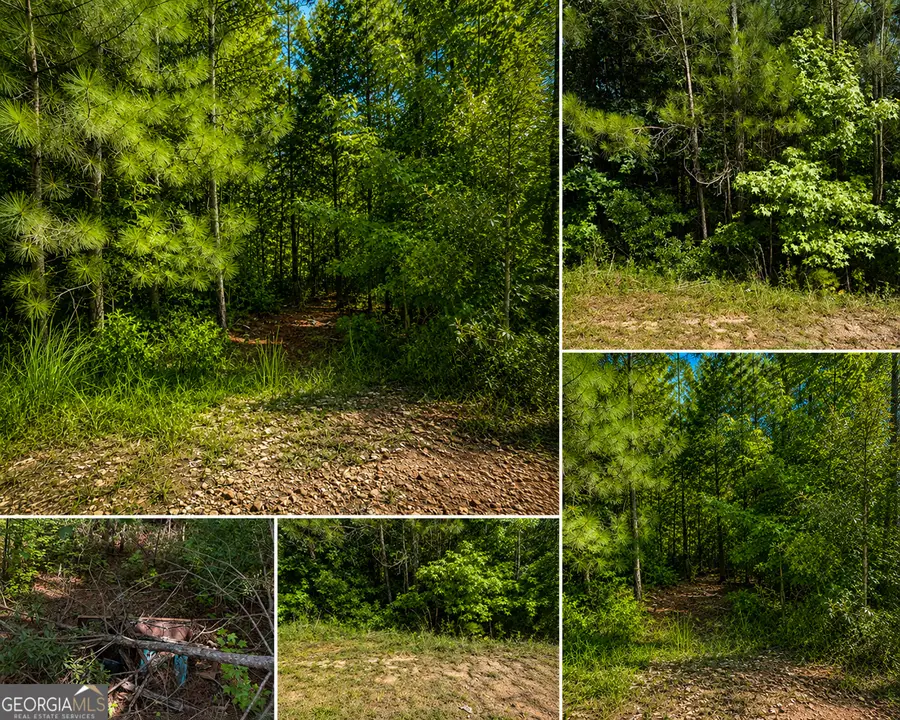 191 Shana Drive Sw, Milledgeville, GA 31061 - #2