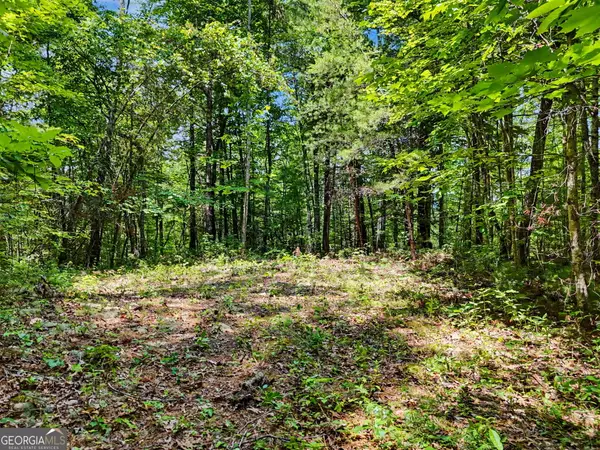 0 Hidden Falls Drive #LOT 3, Tiger, GA 30576