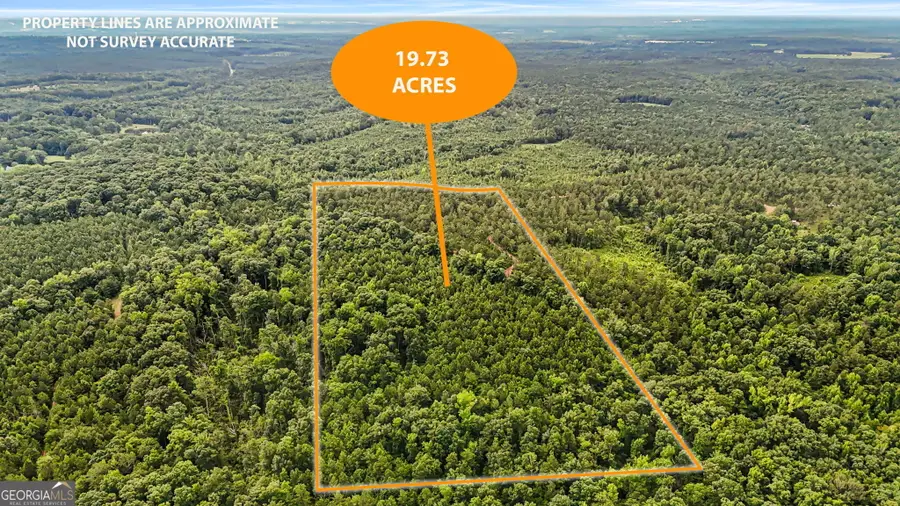 0 Howard Road, Roberta, GA 31078 - #3