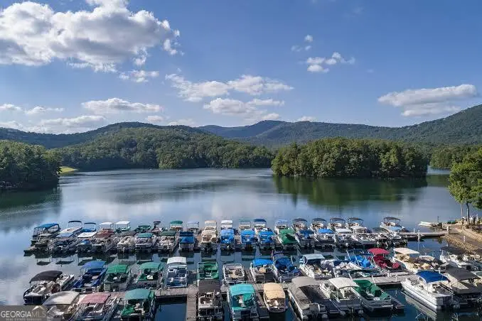 137 Trout Lily Trail, Jasper, GA 30143 - #3