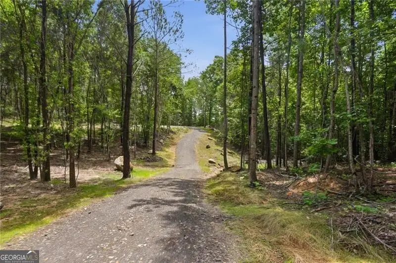 LOT 3 Pete Path, Dallas, GA 30157 - #3