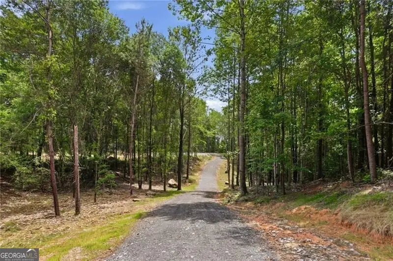 LOT 4 Orlando Path, Dallas, GA 30157 - #2