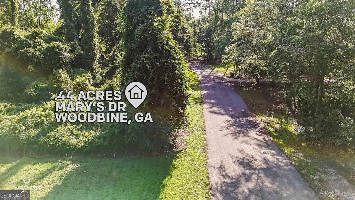 V/L 81 Marys Drive, Woodbine, GA 31569 - #1