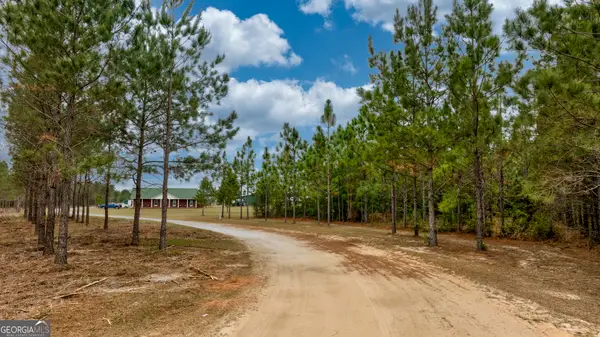 2474 Rushing Boone Road, Reidsville, GA 30453