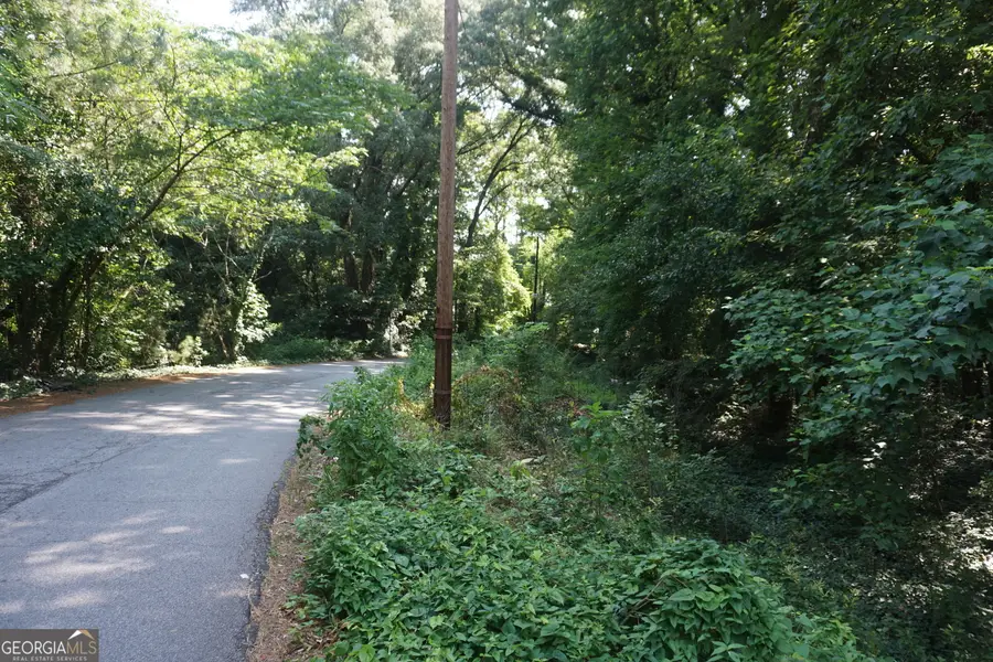 1821 Mary George Avenue, Atlanta, GA 30318 - #2