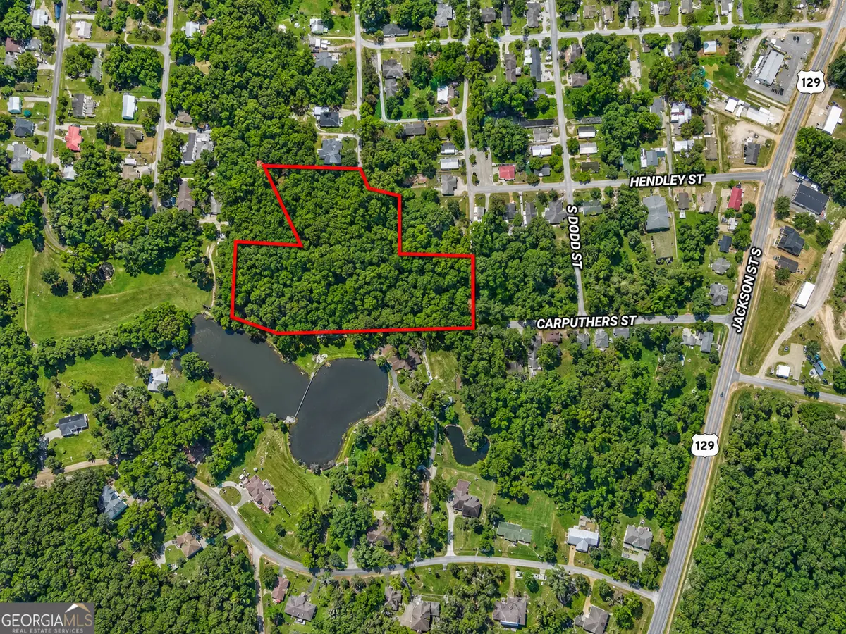 5 ACRES Grace Street, Hawkinsville, GA 31036 - #1