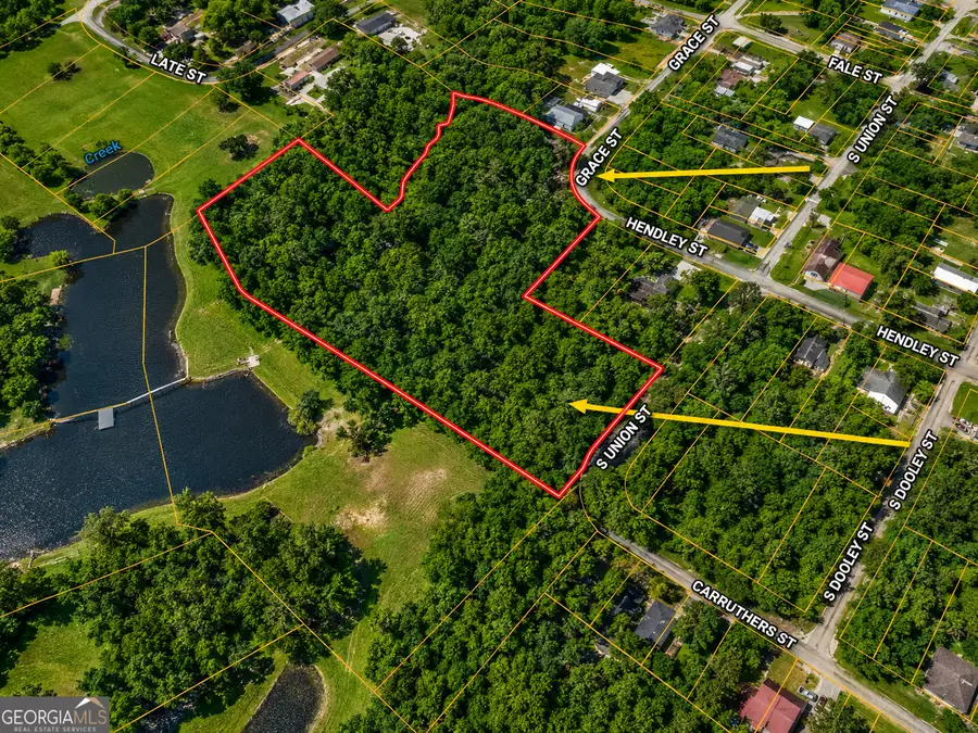 5 ACRES Grace Street, Hawkinsville, GA 31036 - #2
