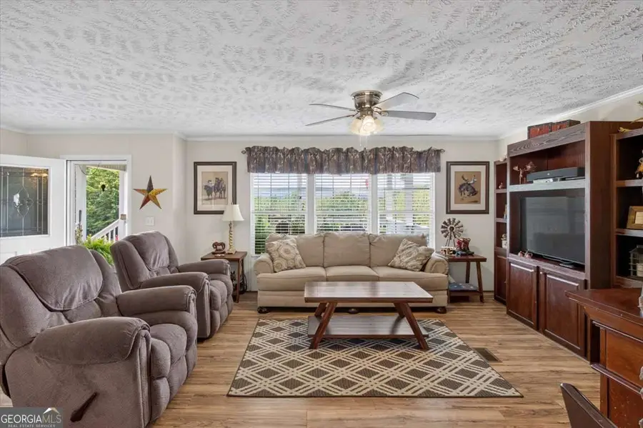 290 Knucklesville Road, Rydal, GA 30171 - #3